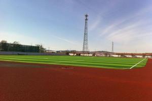  Césped artificial para campos de fútbol, MT-Peace 